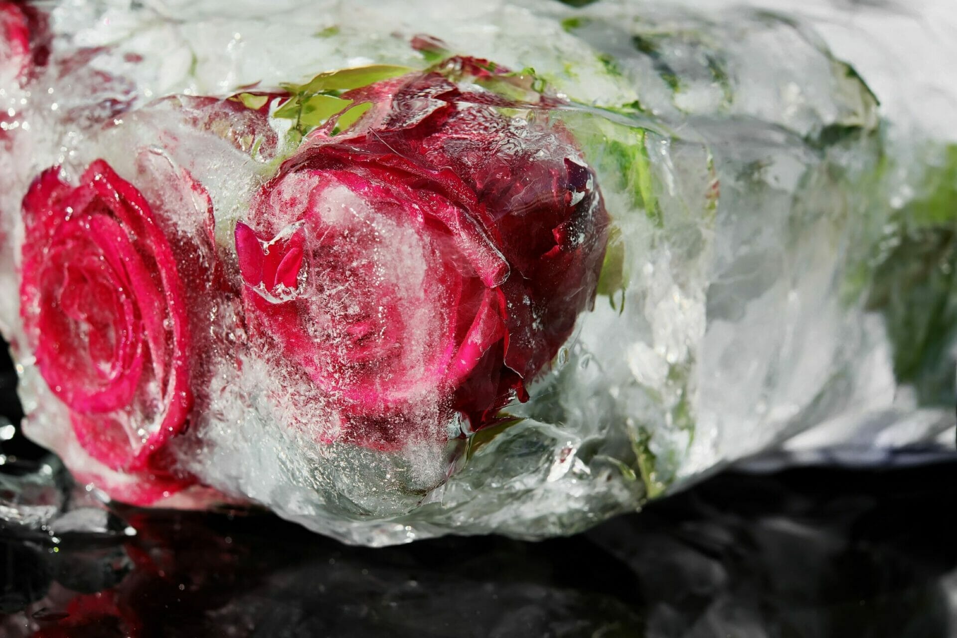frozen roses - Is Your Career “Stuck?” Here’s What to Do About It.